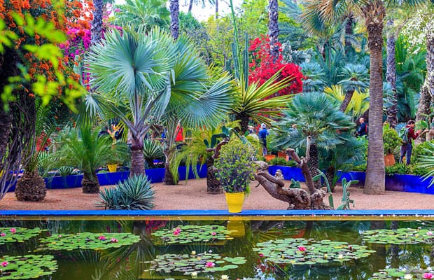 Majorelle Garden